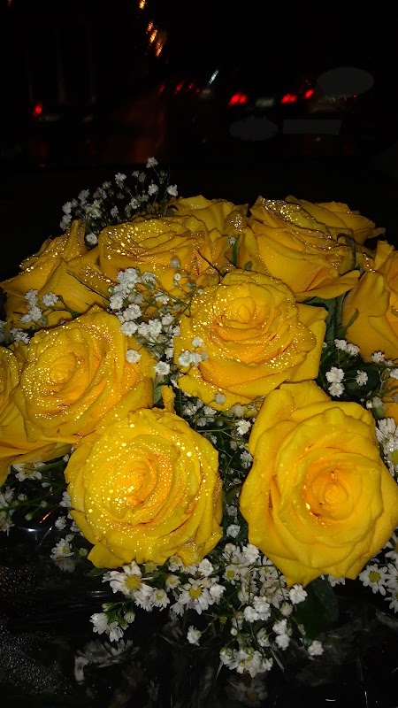 Foto 6 de Floricultura Audrey