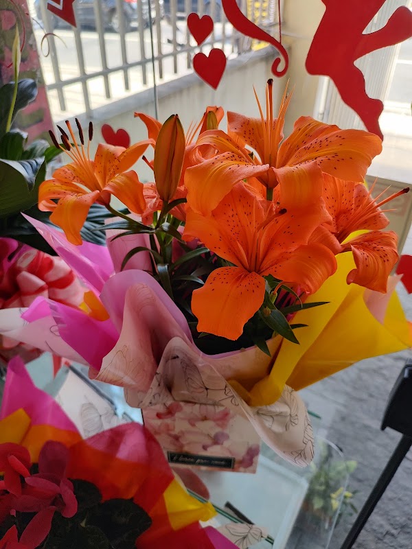 Floricultura Floresdiana - Floricultura em Cumbica, Guarulhos/SP - Foto 5