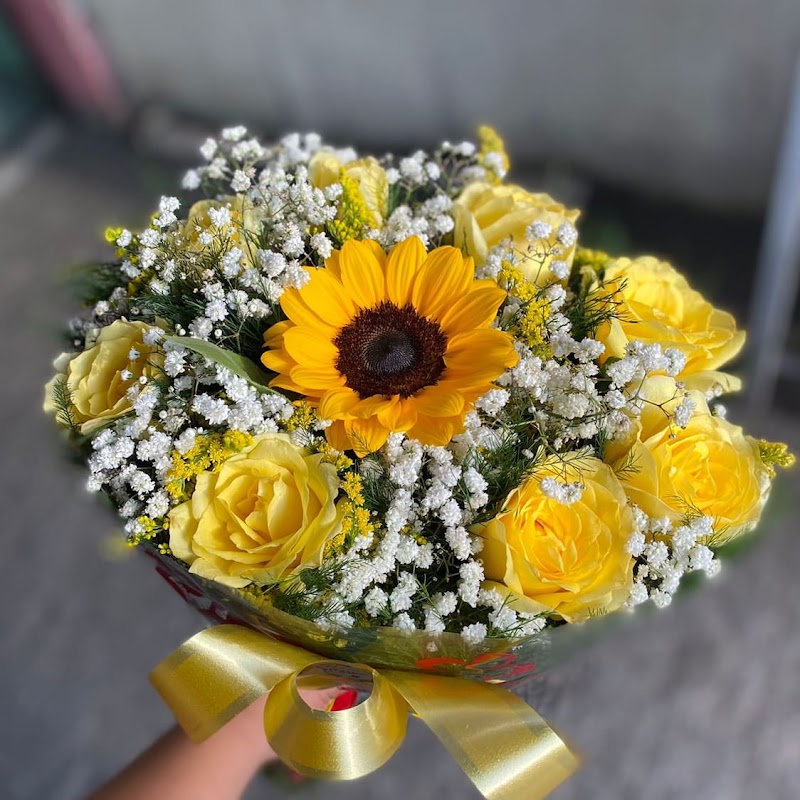 Foto 6 de Floricultura Floresdiana