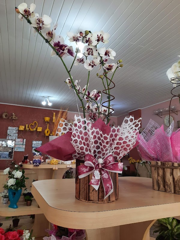 Botão de Rosa - Floricultura em Gopoúva, Guarulhos/SP - Foto 4