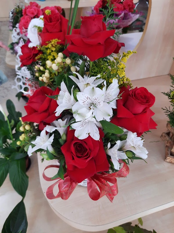 Botão de Rosa - Floricultura em Gopoúva, Guarulhos/SP - Foto 5