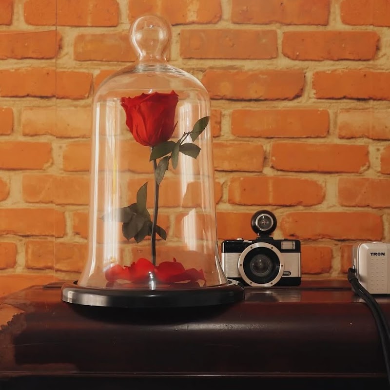 Giuliana Flores - Floricultura em Itapegica, Guarulhos/SP - Foto 3