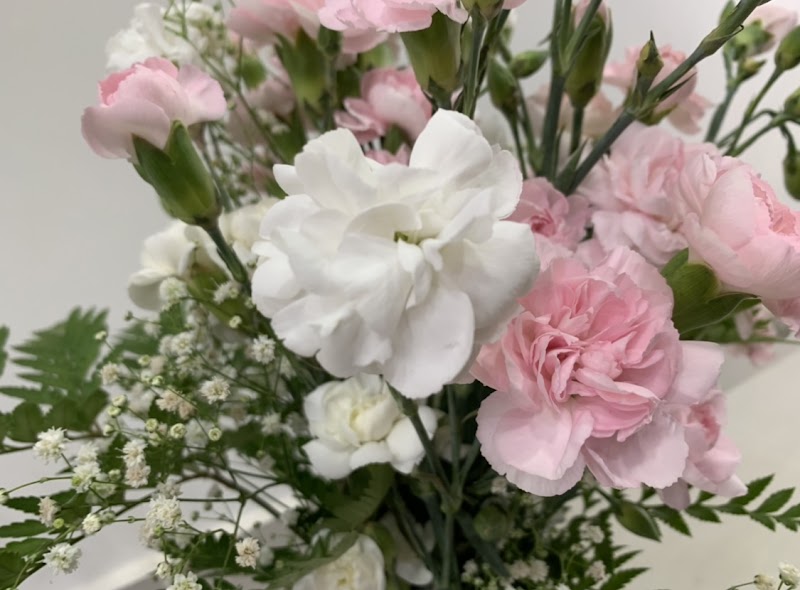 Multiflores Floricultura - Floricultura em Macedo, Guarulhos/SP - Foto 4