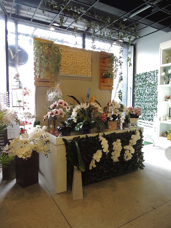 Vintage Variedades - Floricultura em Macedo, Guarulhos/SP - Foto 4