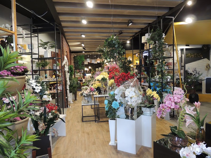 Foto 6 de Vintage Variedades