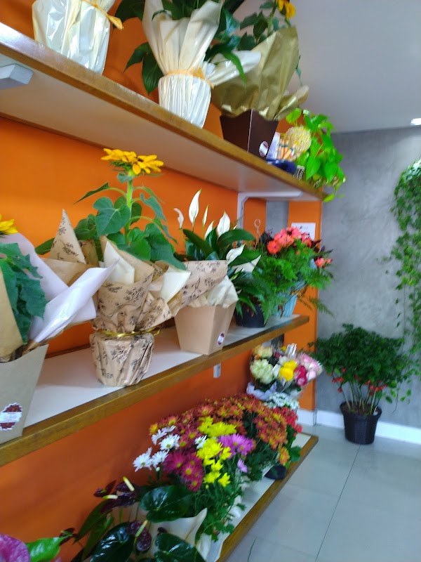 Floricultura La Bella - Floricultura em Picanço, Guarulhos/SP - Foto 4