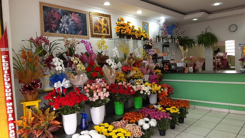 Floricultura Maria Aparecida - Floricultura em Picanço, Guarulhos/SP - Foto 2