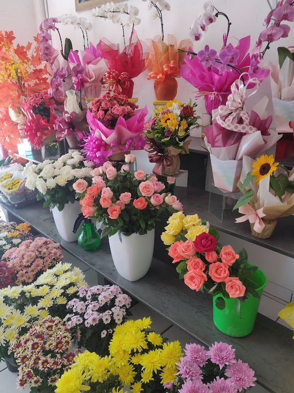 Floricultura Maria Aparecida - Floricultura em Picanço, Guarulhos/SP - Foto 3