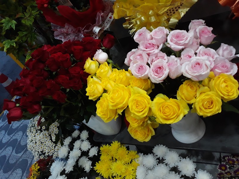 Foto 6 de Floricultura Maria Aparecida