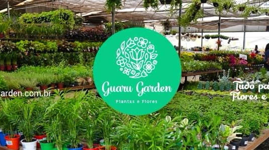 Guaru Garden - Floricultura em Picanço, Guarulhos/SP - Foto 2