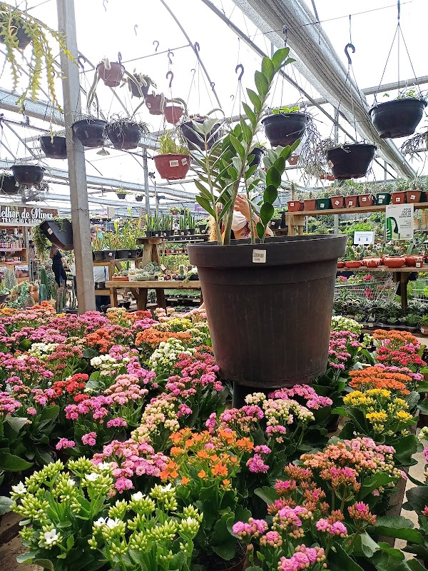 Foto 6 de Guaru Garden