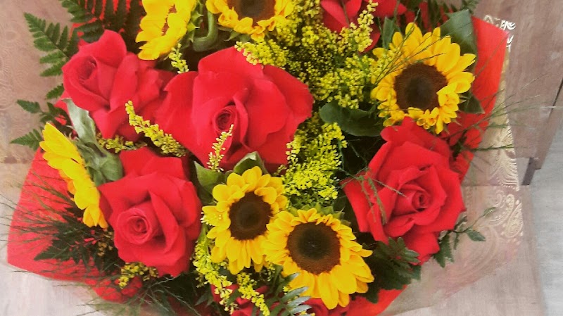 Guaru Flores - Floricultura em Vila Augusta, Guarulhos/SP - Foto 2