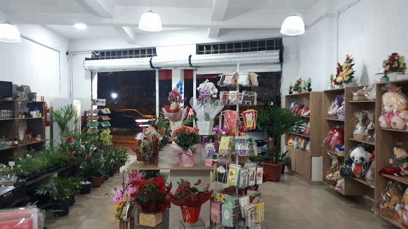 Guaru Flores - Floricultura em Vila Augusta, Guarulhos/SP - Foto 3