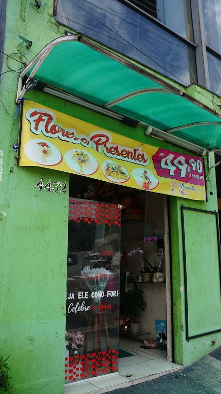 Fênix floricultura e flores