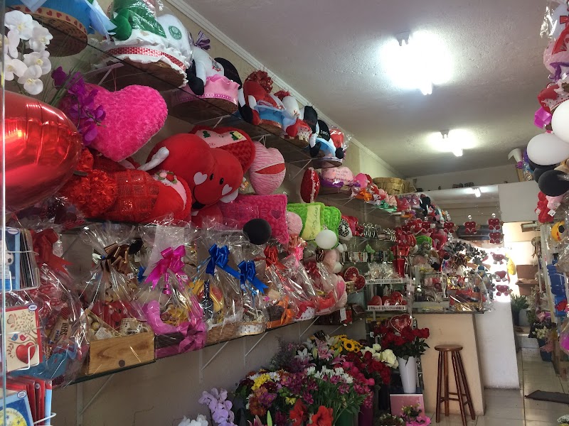 Fênix floricultura e flores - Floricultura em Vila Galvão, Guarulhos/SP - Foto 2