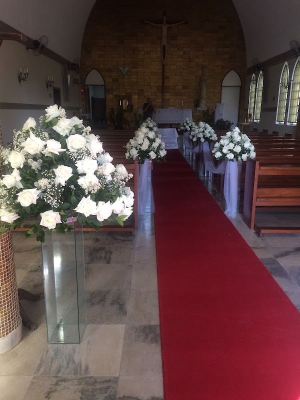 Fênix floricultura e flores - Floricultura em Vila Galvão, Guarulhos/SP - Foto 5