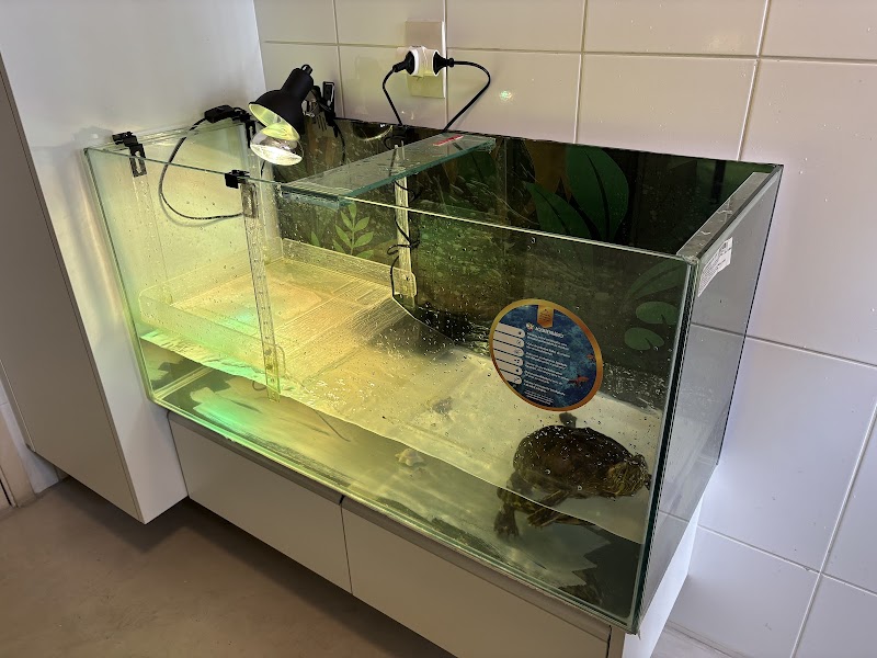 Gráfica Criarte - Gráfica em Macedo, Guarulhos/SP - Foto 5