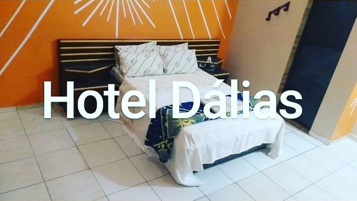 Foto 6 de Hotel Dálias