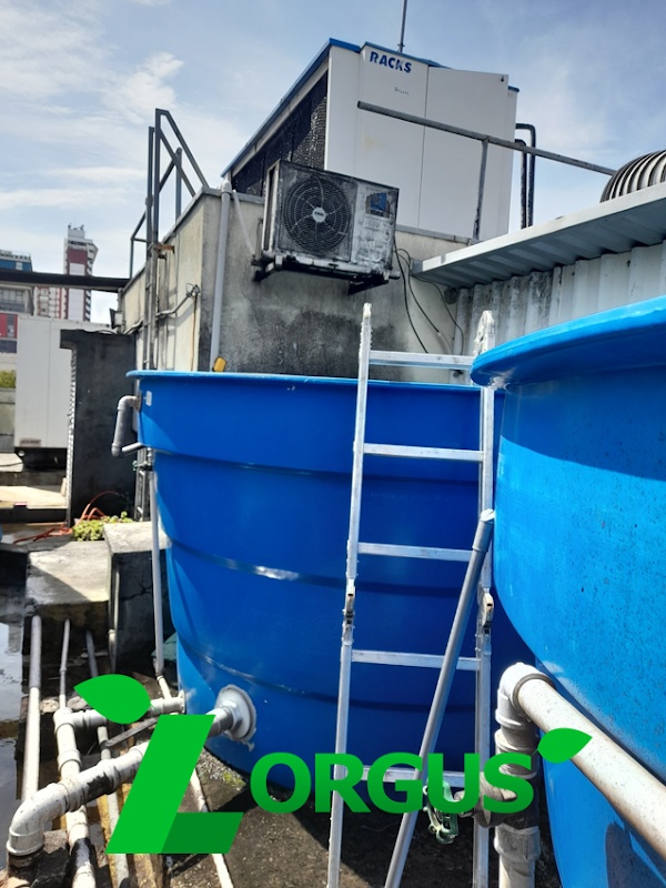 Lorgus - Informática em Pimentas, Guarulhos/SP - Foto 3