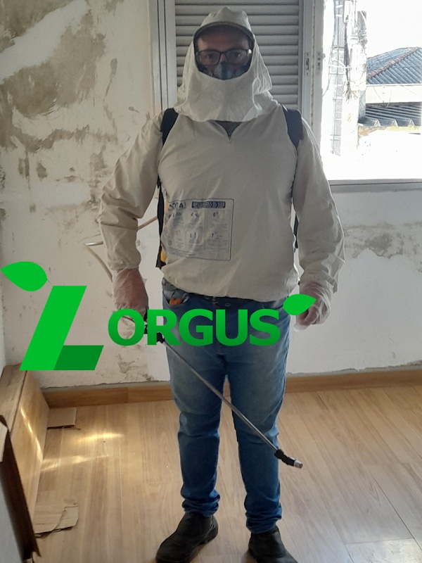 Lorgus - Informática em Pimentas, Guarulhos/SP - Foto 4