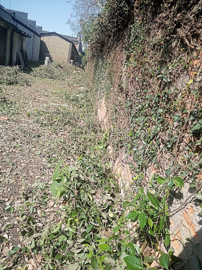 Áreas Verde Paisagismo