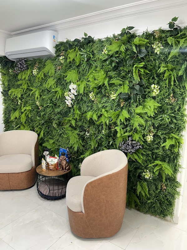 BioFlora paisagismo e jardinagem - Jardinagem e Paisagismo em Centro, Guarulhos/SP - Foto 2