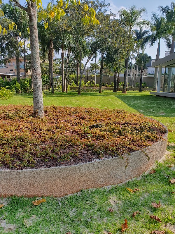 BioFlora paisagismo e jardinagem - Jardinagem e Paisagismo em Centro, Guarulhos/SP - Foto 5