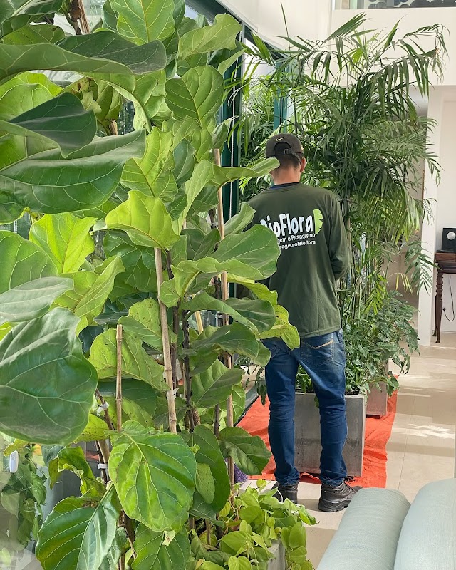 Foto 6 de BioFlora paisagismo e jardinagem