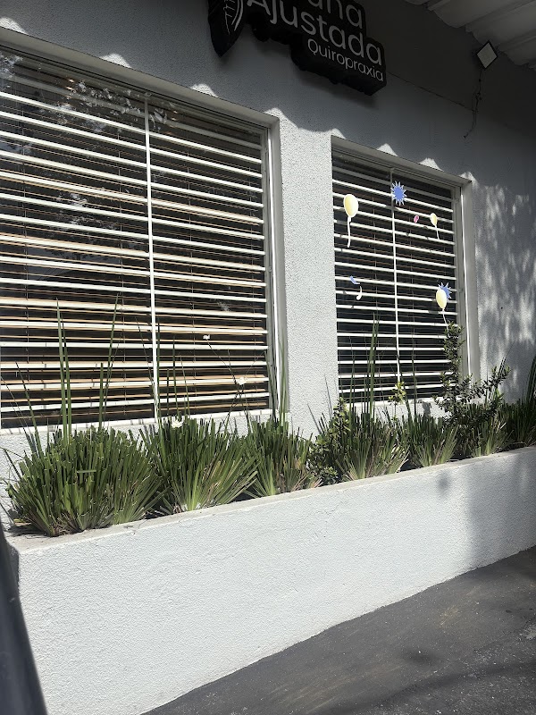 Jardinagem em geral e paisagismo - Jardinagem e Paisagismo em Centro, Guarulhos/SP - Foto 3