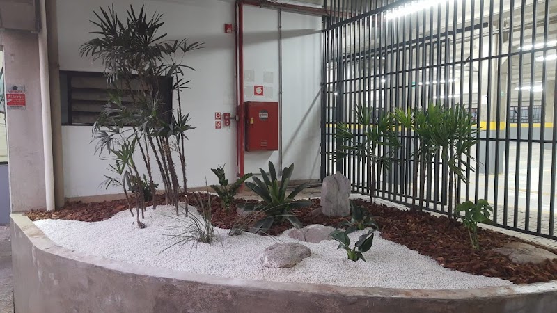 Jardinagem em geral e paisagismo - Jardinagem e Paisagismo em Centro, Guarulhos/SP - Foto 4
