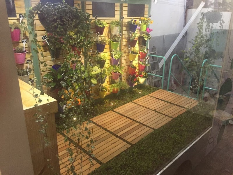 Jardinagem em geral e paisagismo - Jardinagem e Paisagismo em Centro, Guarulhos/SP - Foto 5