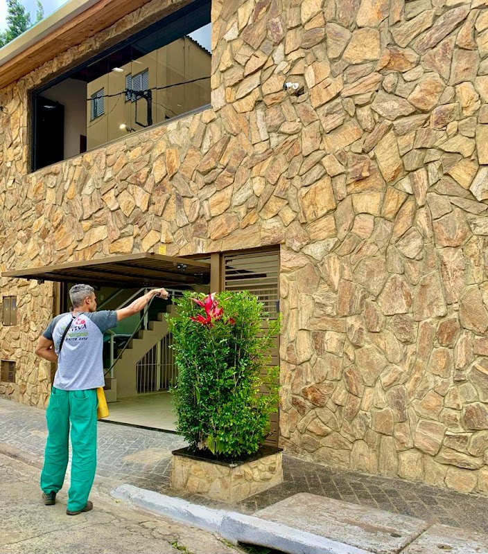 Foto 6 de Jardinagem em geral e paisagismo