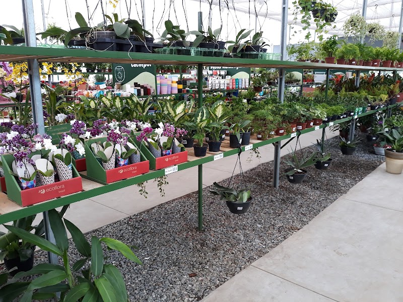 Total Garden - Jardinagem e Paisagismo em Centro, Guarulhos/SP - Foto 3