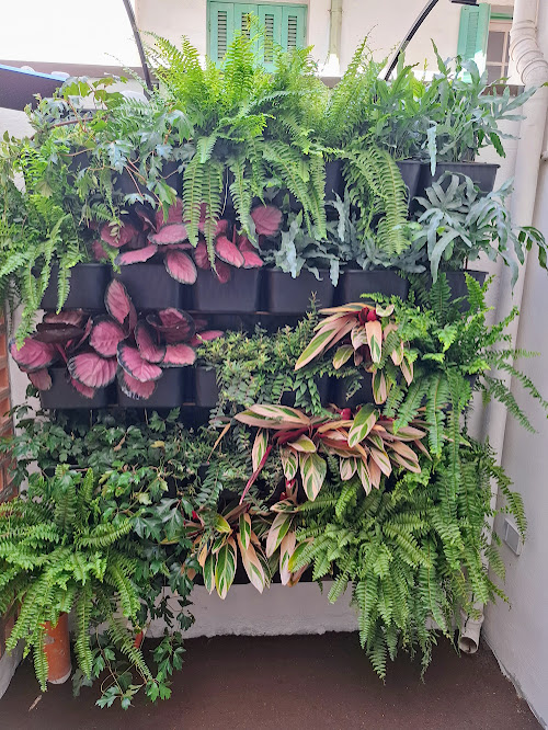 Vida Paisagismo - Jardinagem e Paisagismo em Centro, Guarulhos/SP - Foto 2