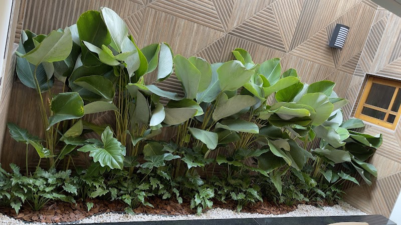 Foto 6 de Vida Paisagismo