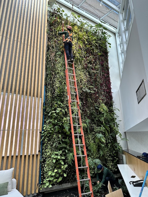 Paraíso Paisagismo - Jardinagem e Paisagismo em Fátima, Guarulhos/SP - Foto 4