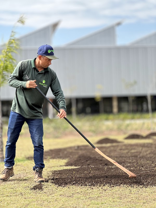 Paraíso Paisagismo - Jardinagem e Paisagismo em Fátima, Guarulhos/SP - Foto 5