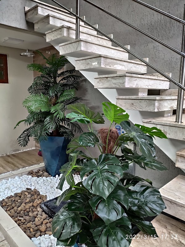 Jardinagem & Paisagismo Mineiro - Jardinagem e Paisagismo em Gopoúva, Guarulhos/SP - Foto 3