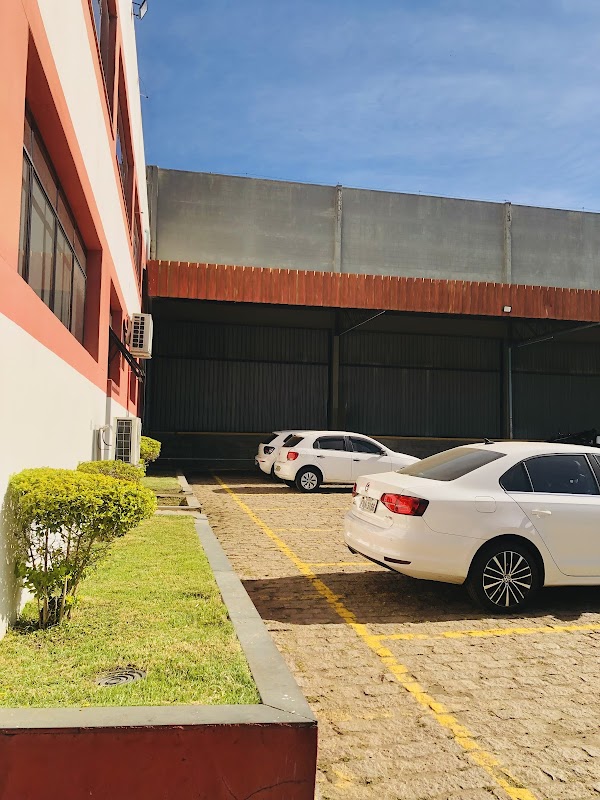 Floresta Viva jardinagem e paisagismo - Jardinagem e Paisagismo em Itaim, Guarulhos/SP - Foto 3