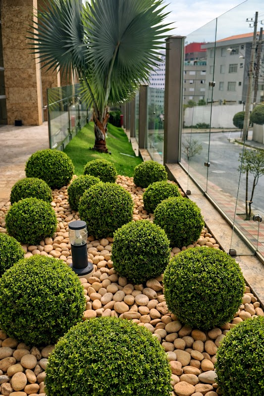 Floresta Viva jardinagem e paisagismo - Jardinagem e Paisagismo em Itaim, Guarulhos/SP - Foto 5