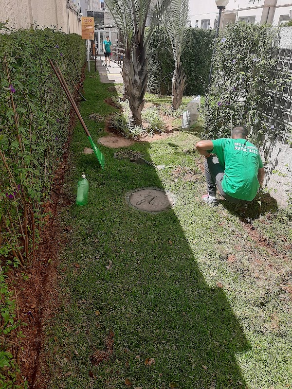 NBS Paisagismo - Jardinagem e Paisagismo em Itapegica, Guarulhos/SP - Foto 3