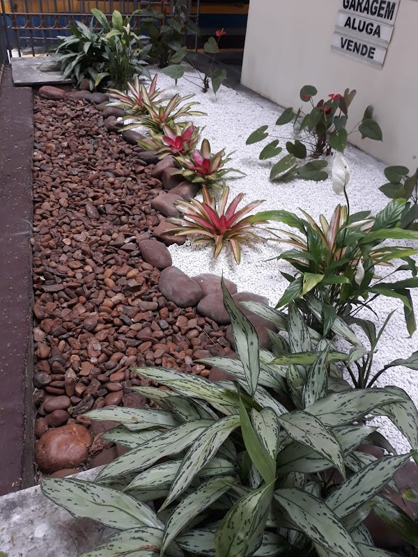 NBS Paisagismo - Jardinagem e Paisagismo em Itapegica, Guarulhos/SP - Foto 5