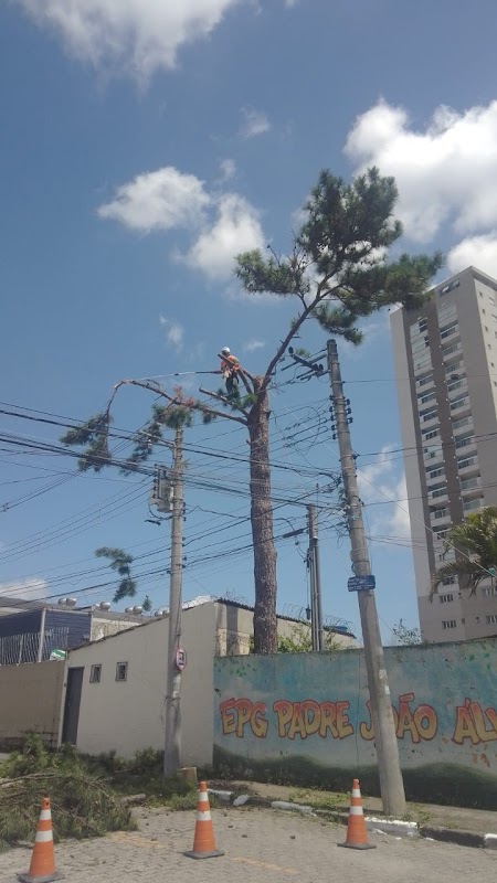 Toth Corte de Grama e Poda de Arvores - Jardinagem e Paisagismo em Picanço, Guarulhos/SP - Foto 2