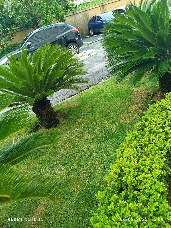 Jardinagem Primavera