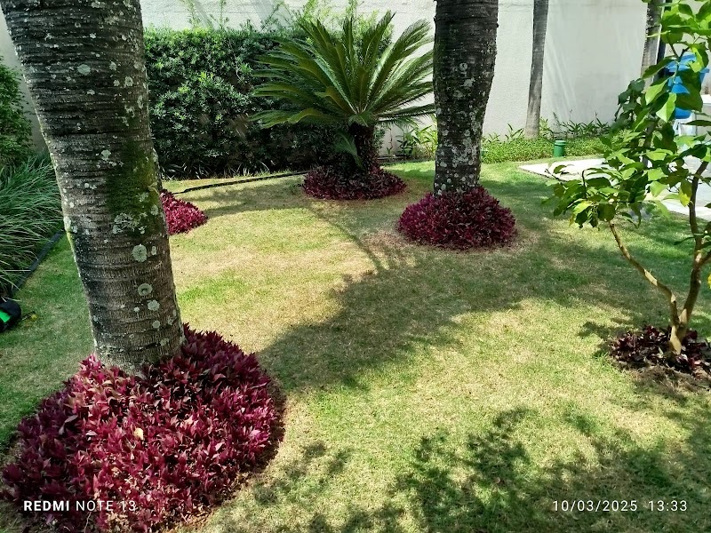 Jardinagem Primavera - Jardinagem e Paisagismo em Vila Augusta, Guarulhos/SP - Foto 2
