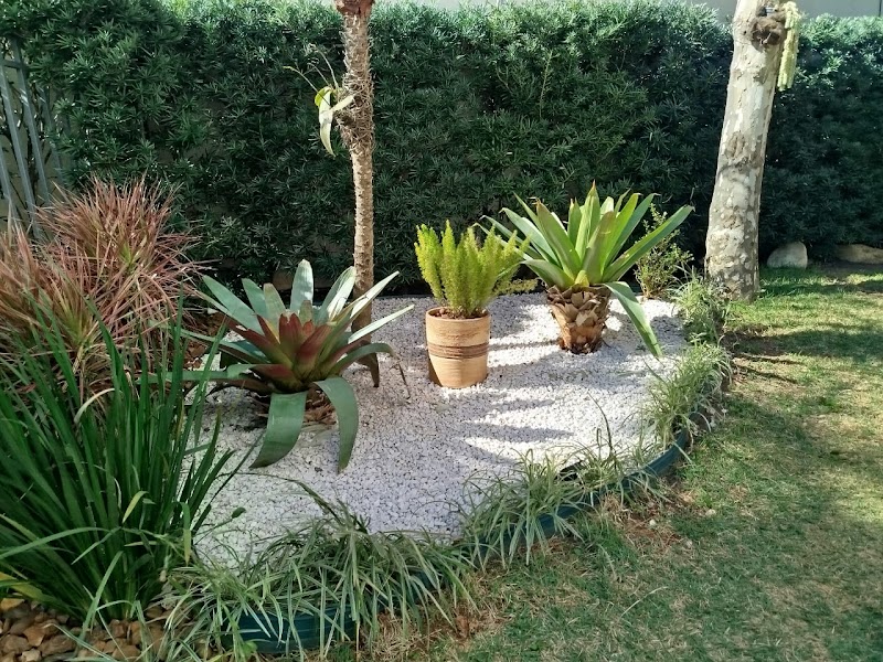 Jardinagem Primavera - Jardinagem e Paisagismo em Vila Augusta, Guarulhos/SP - Foto 3