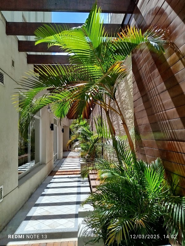 Foto 6 de Jardinagem Primavera