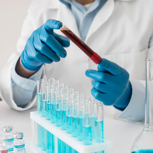 Foto 6 de Global Exames