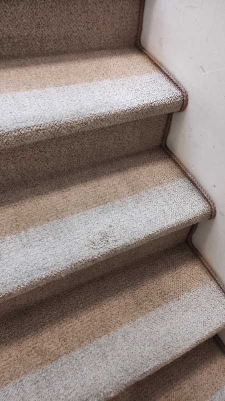 Bratva Smart Clean | Higienização e Impermeabilização de Sofá (Filial Centro GRU) - Lavanderia em Centro, Guarulhos/SP - Foto 5