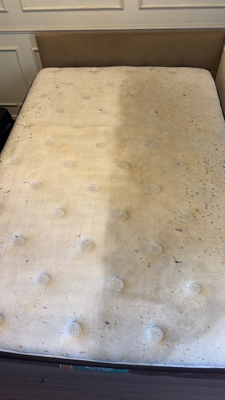 Limpeza de sofá HigCare Higienização e Impermeabilização Guarulhos - Lavanderia em Centro, Guarulhos/SP - Foto 5